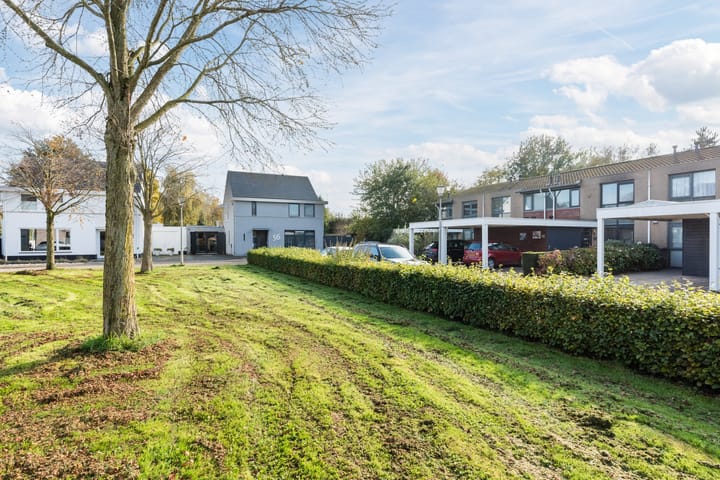 Foto 54 van Zuidewijn 56