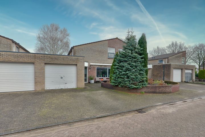 View photo of Marterslag 6
