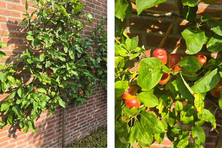 Foto 28 van Pasqualinilaan 2