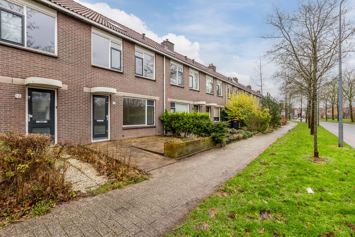 Foto 4 van Grutto 15