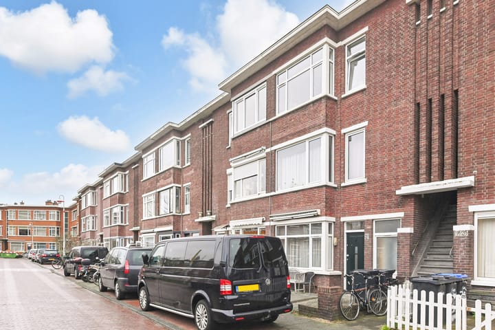 Foto 3 van Damasstraat 223