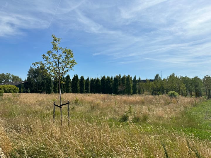 Foto 2 van Sevenumseweg