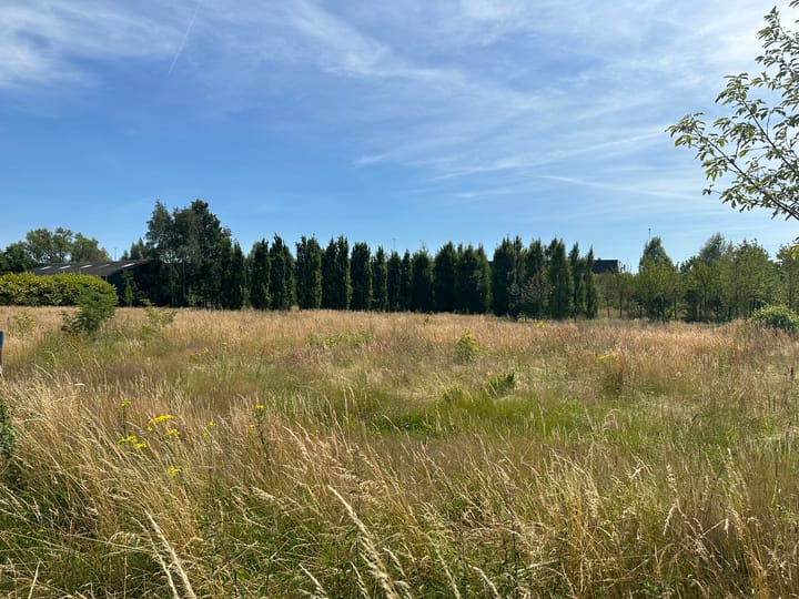 Foto 4 van Sevenumseweg