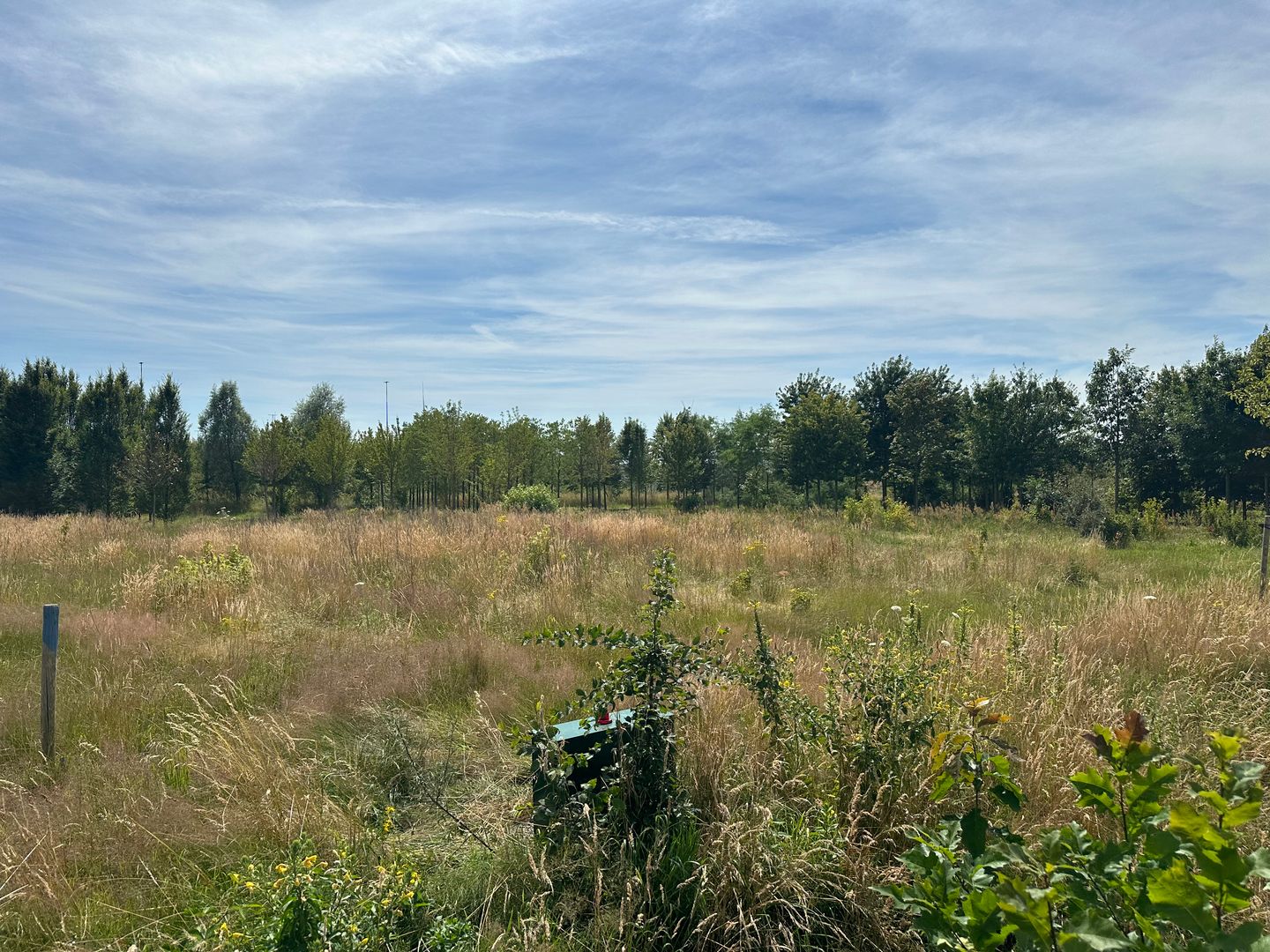 Foto 5 van Sevenumseweg