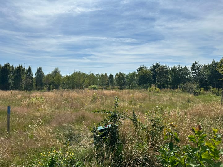 Foto 5 van Sevenumseweg