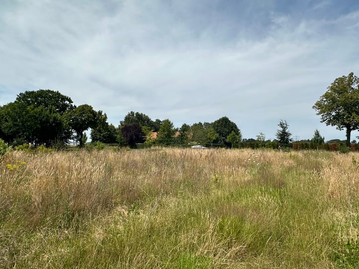 Foto 6 van Sevenumseweg