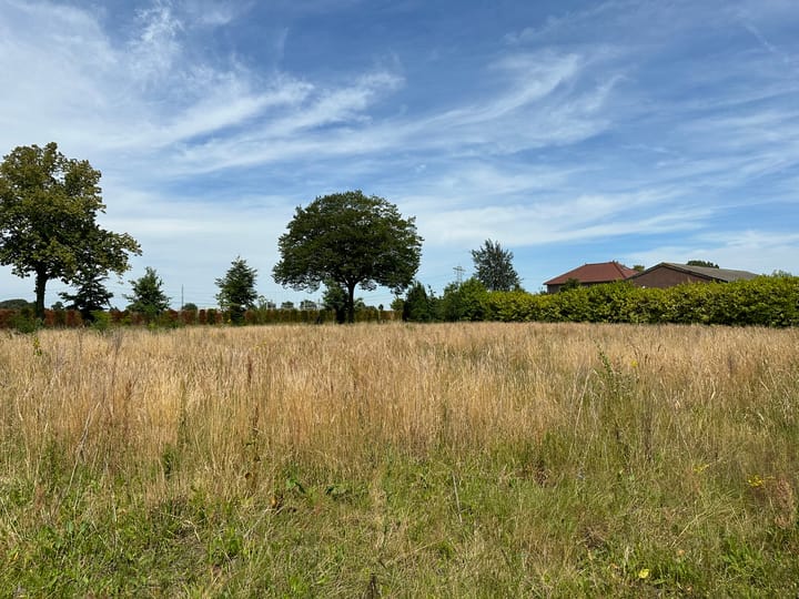 Foto 7 van Sevenumseweg