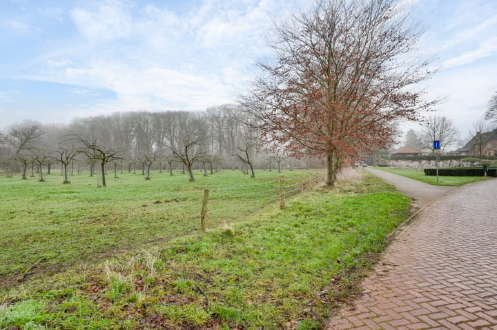 Foto 39 van Cruysbergstraat 8