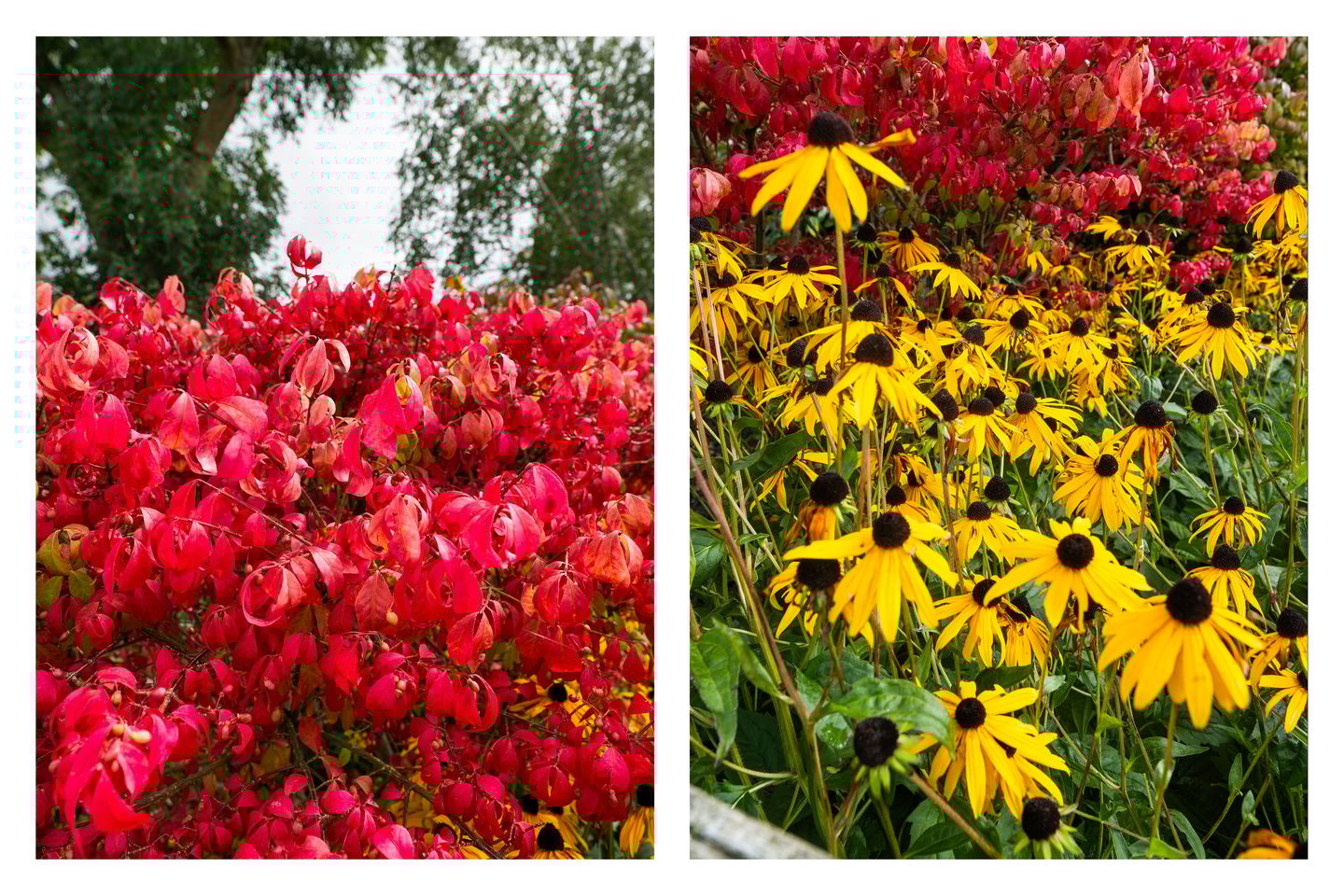 Foto 29 van Osdorperweg 513