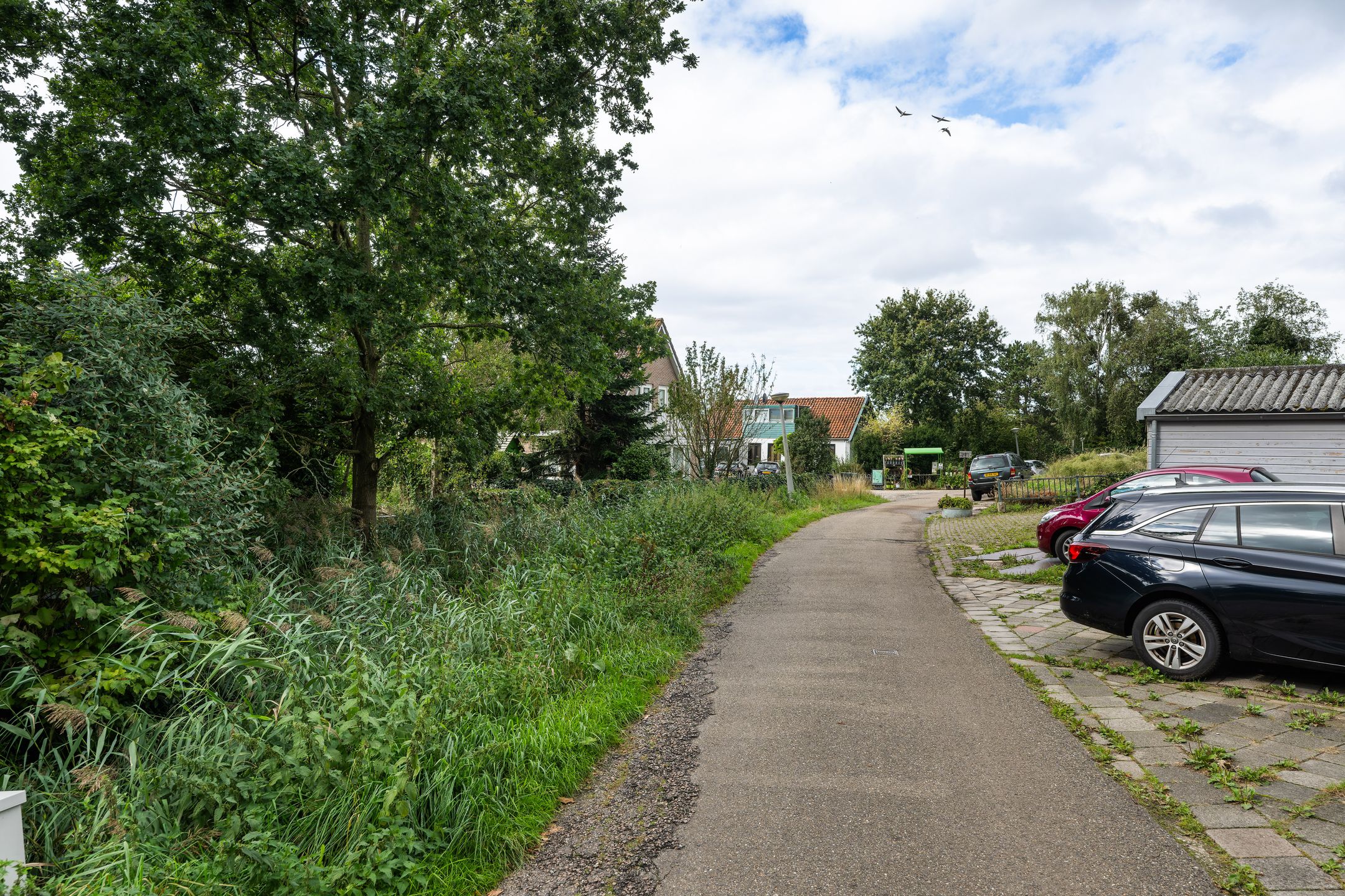 Foto 33 van Osdorperweg 513