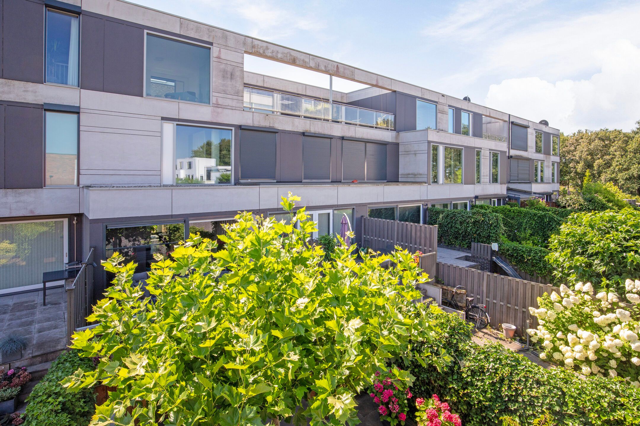 Foto 54 van Waterlinie 433