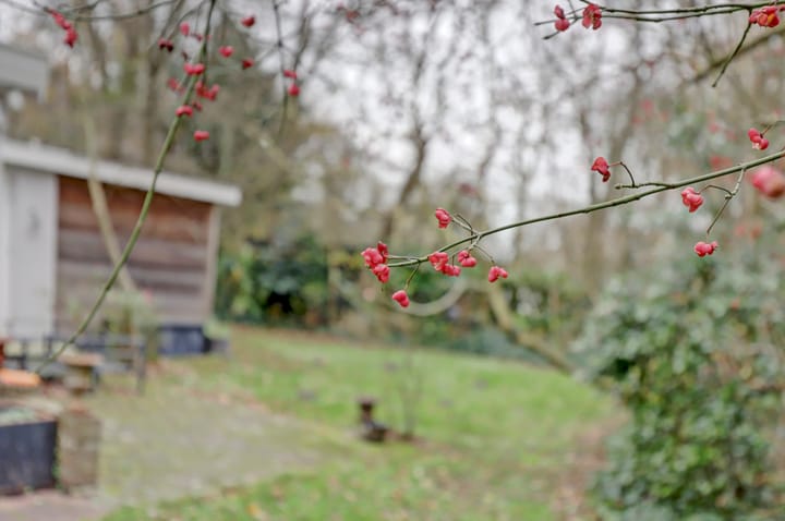 Foto 14 van Lijsterweg 30