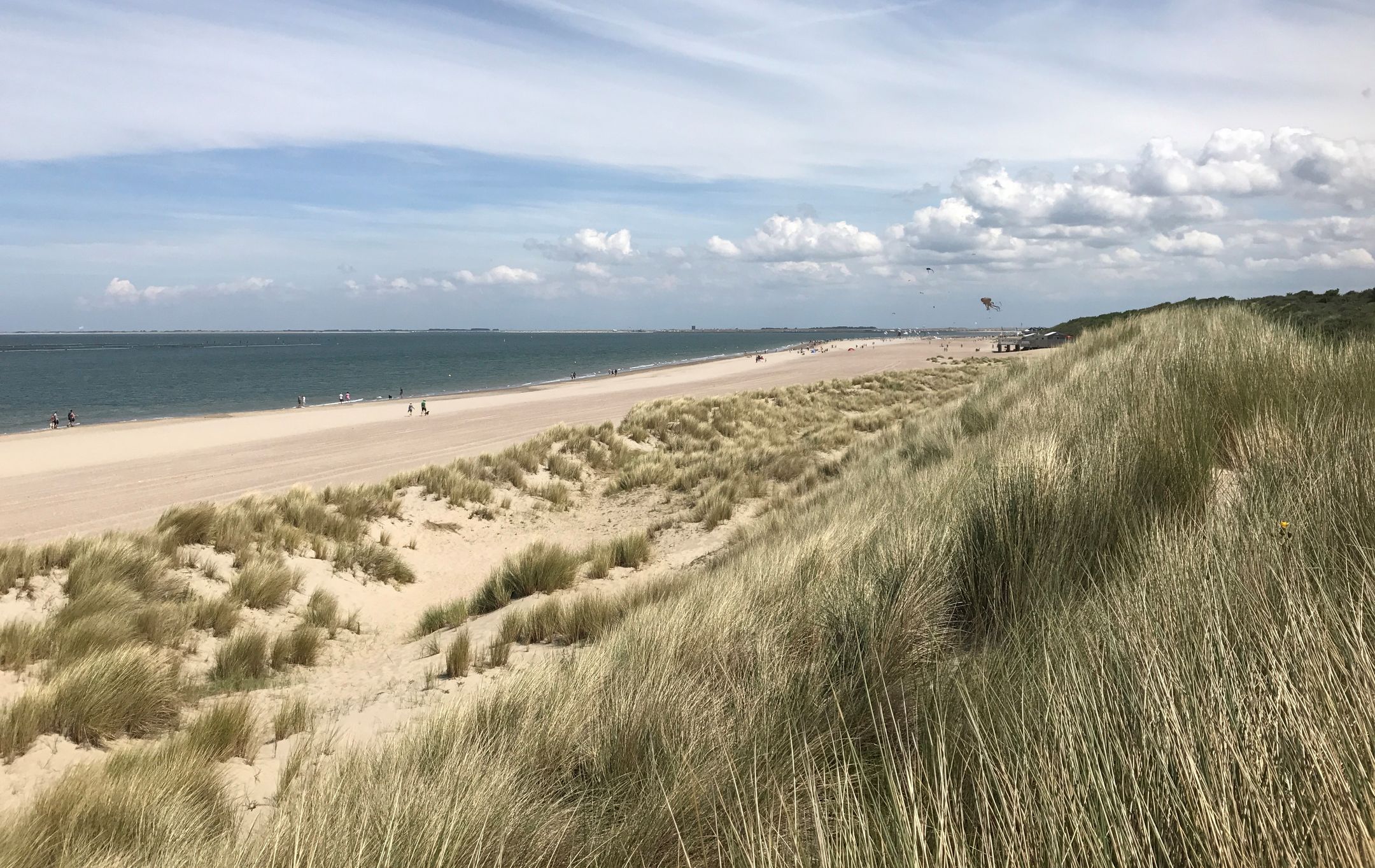 Foto 39 van Lijsterweg 30