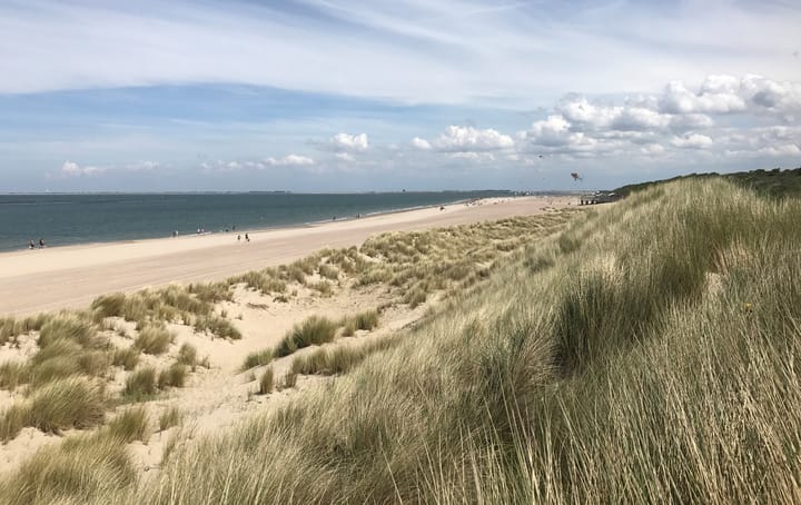 Foto 39 van Lijsterweg 30