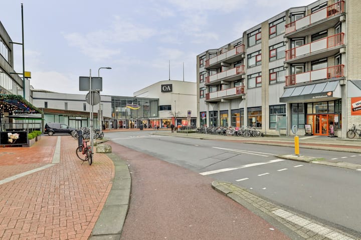 Photo 25 of Zamenhofdreef 10-A