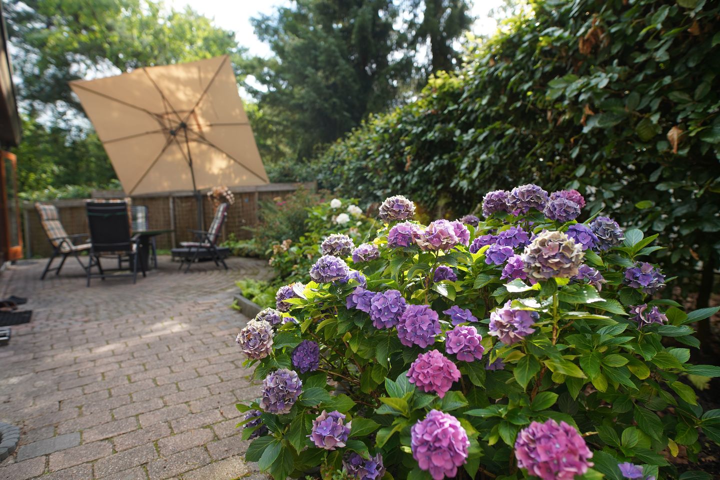 Foto 20 van Groningerweg 13-293