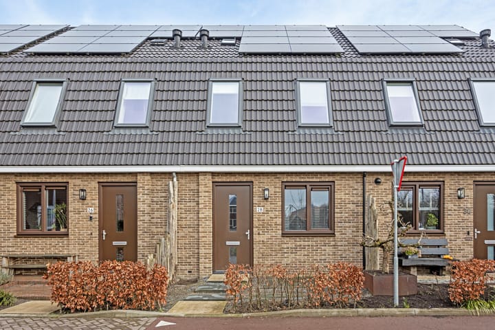 Foto 1 van Boterbloem 28