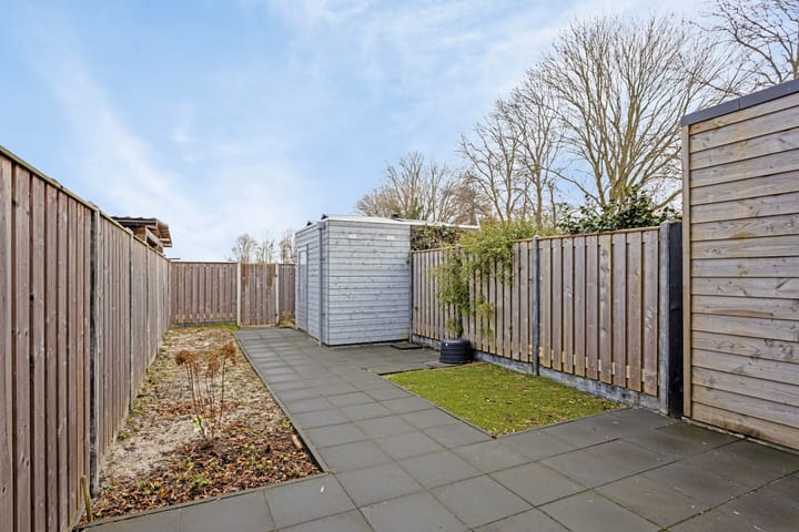 Foto 2 van Boterbloem 28