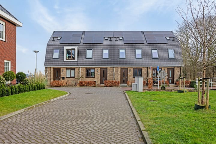 Foto 5 van Boterbloem 28