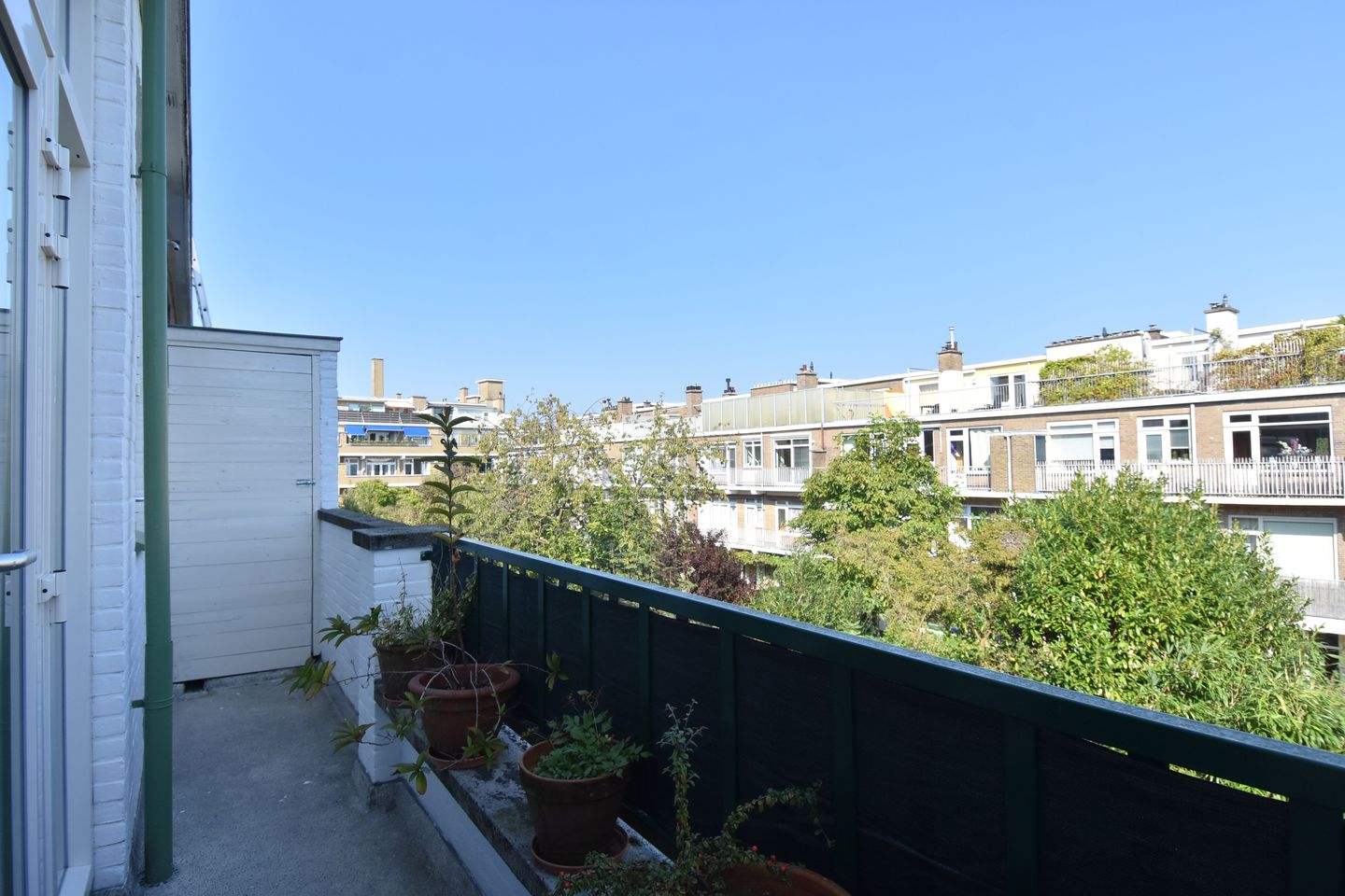 Foto 20 van Pinksterbloemplein 17