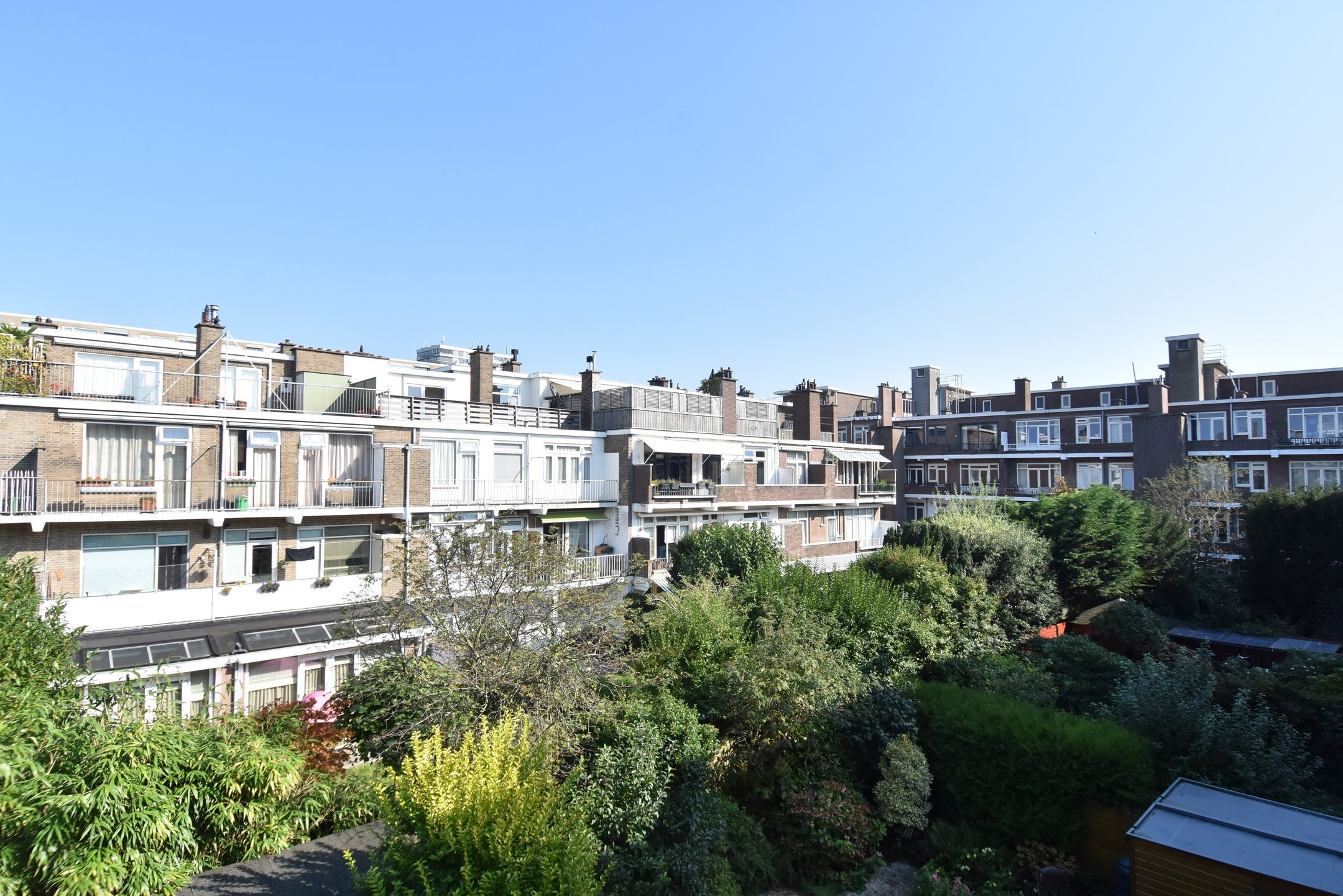 Foto 21 van Pinksterbloemplein 17