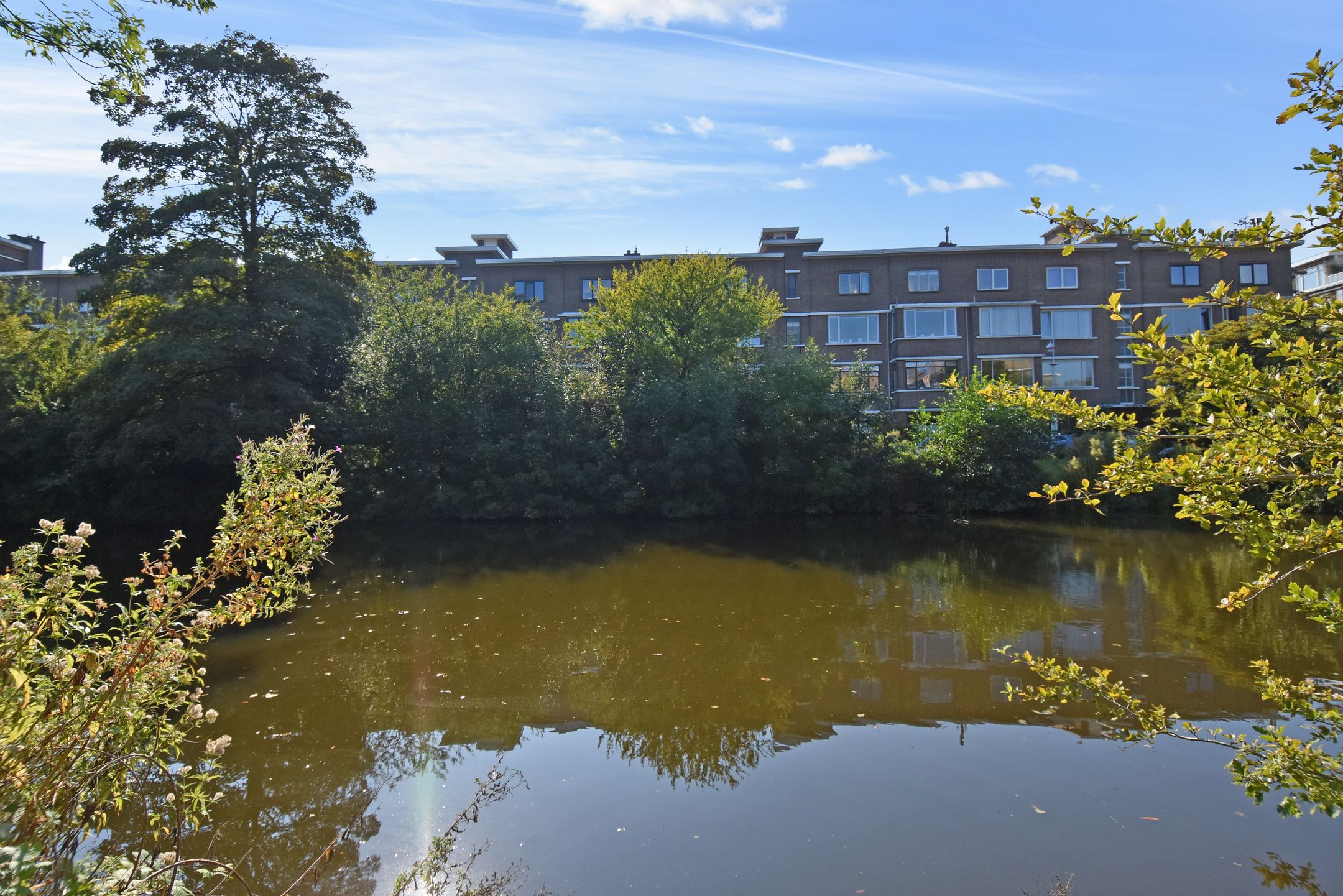 Foto 51 van Pinksterbloemplein 17