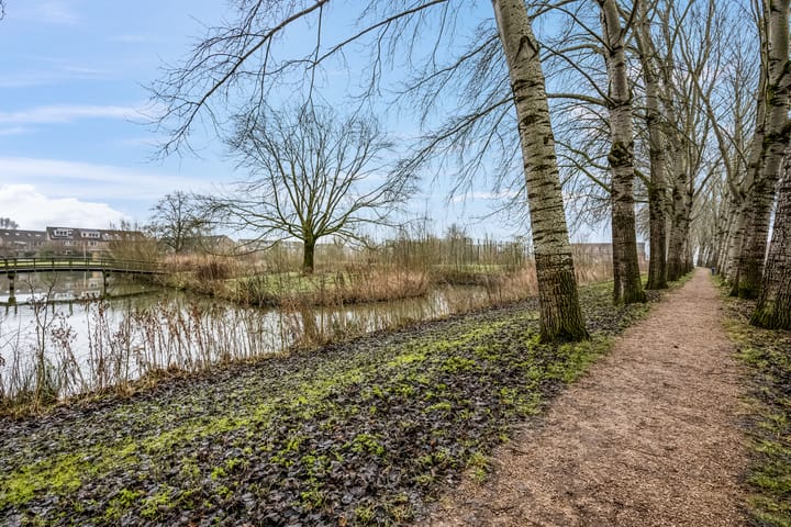 Photo 40 of Parklaan 213