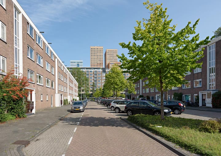 Foto 15 van Wedderborg 40