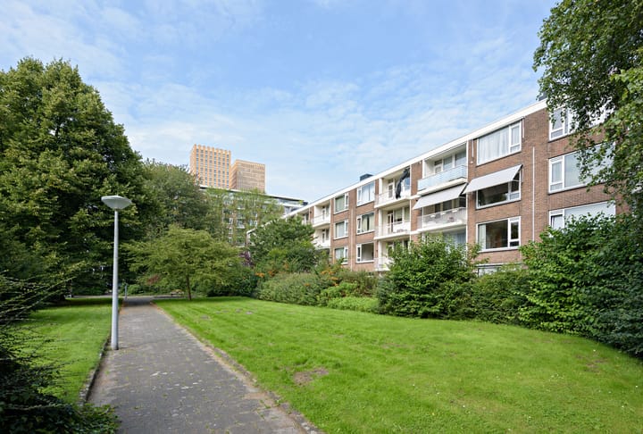 Foto 16 van Wedderborg 40