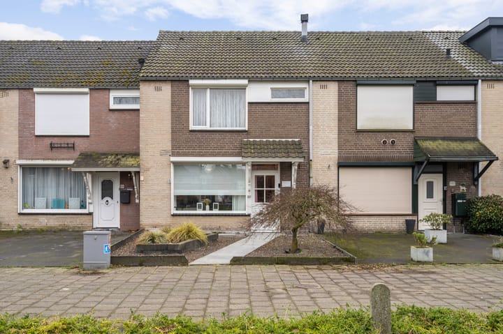 Foto 7 van Tromplaan 101