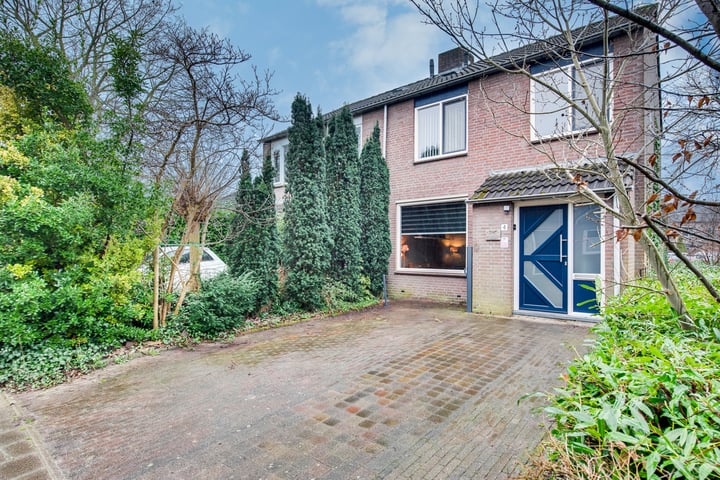Zuidewijn 4