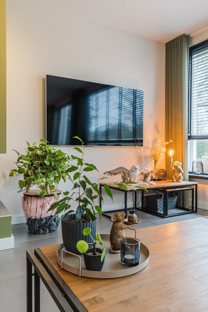 Foto 19 van Sleedoornlaan 27