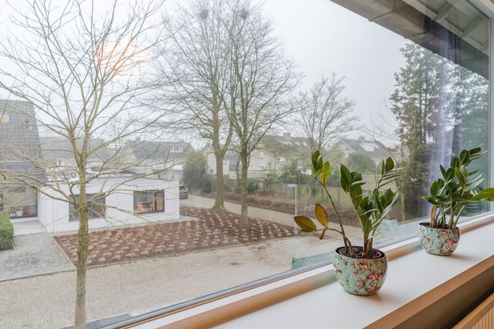 Foto 36 van Sleedoornlaan 27