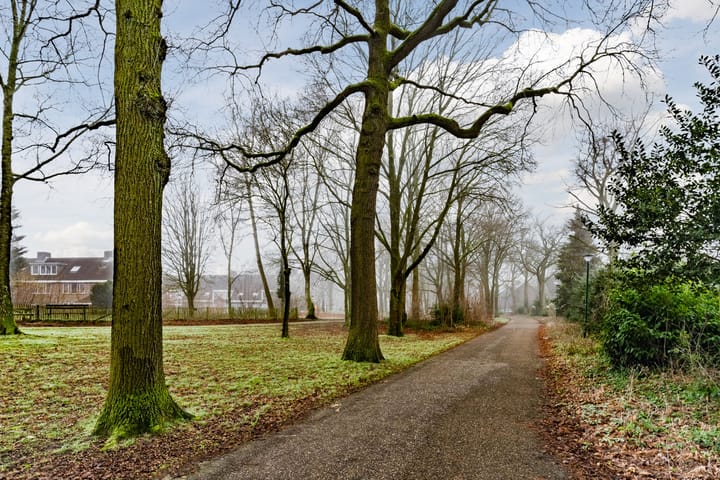 Foto 45 van Sleedoornlaan 27