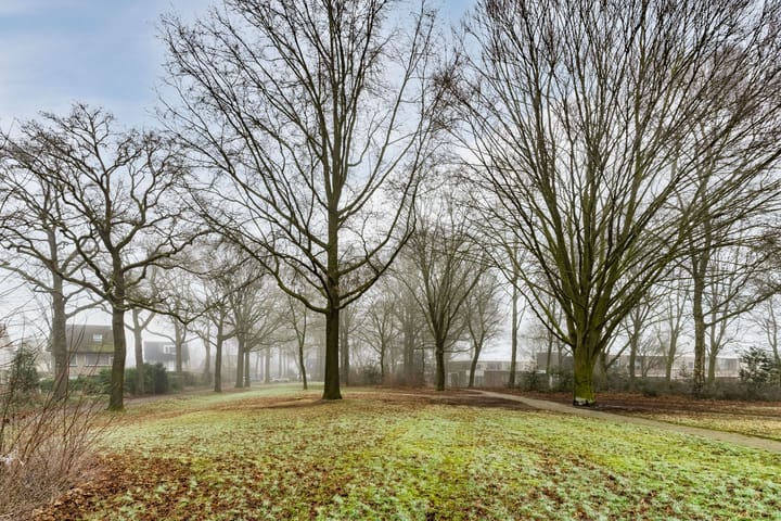 Foto 46 van Sleedoornlaan 27