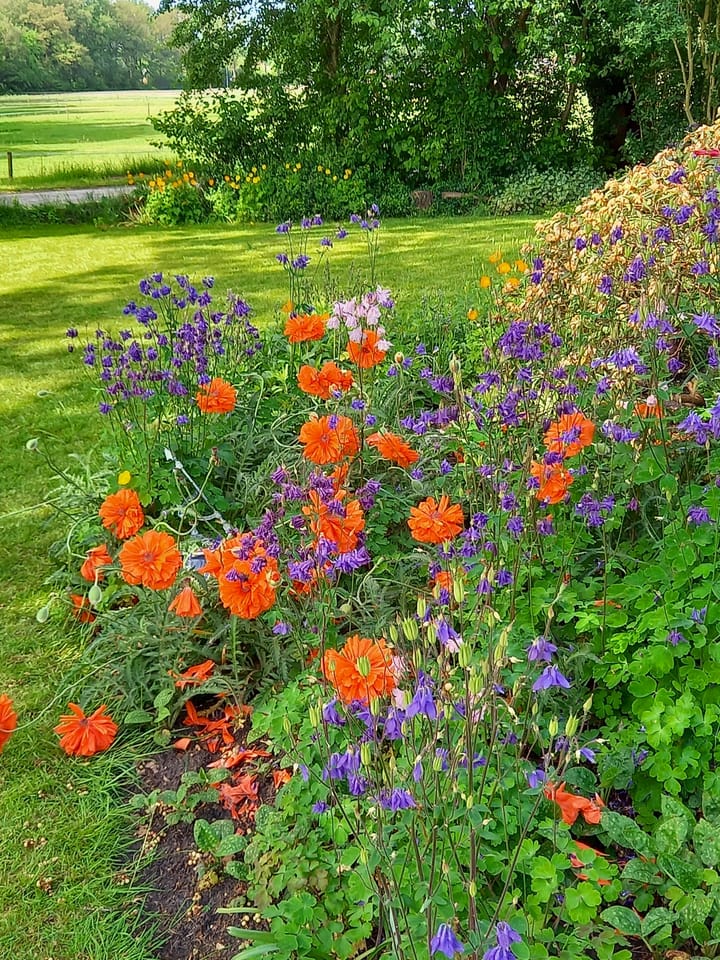 Foto 57 van Oosteind 7