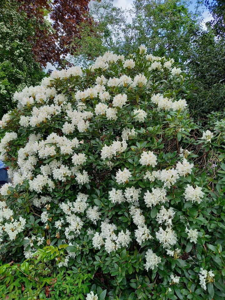 Foto 58 van Oosteind 7