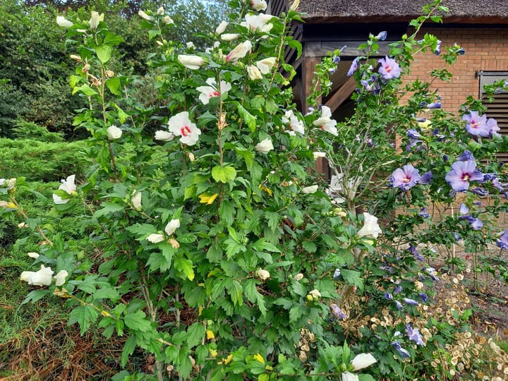 Foto 60 van Oosteind 7