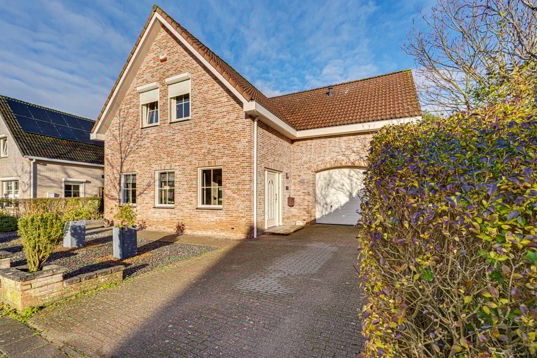 Foto 2 van Duizendblad 21