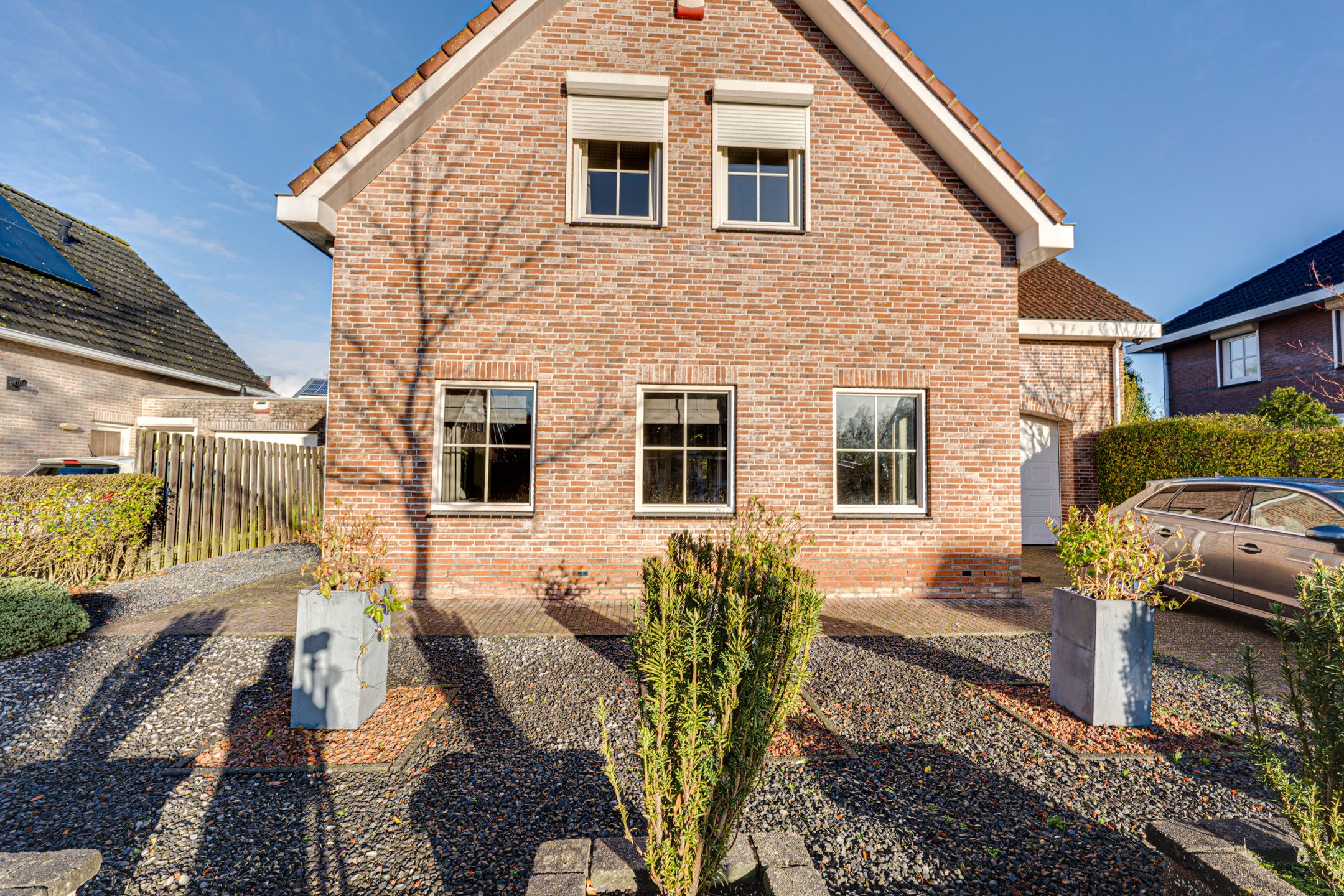 Foto 3 van Duizendblad 21