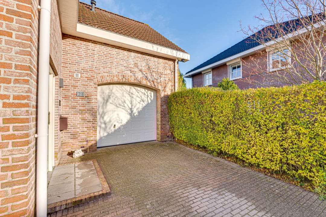 Foto 7 van Duizendblad 21