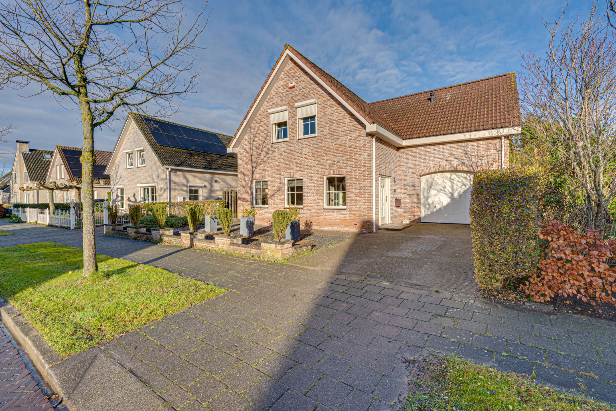 Foto 9 van Duizendblad 21