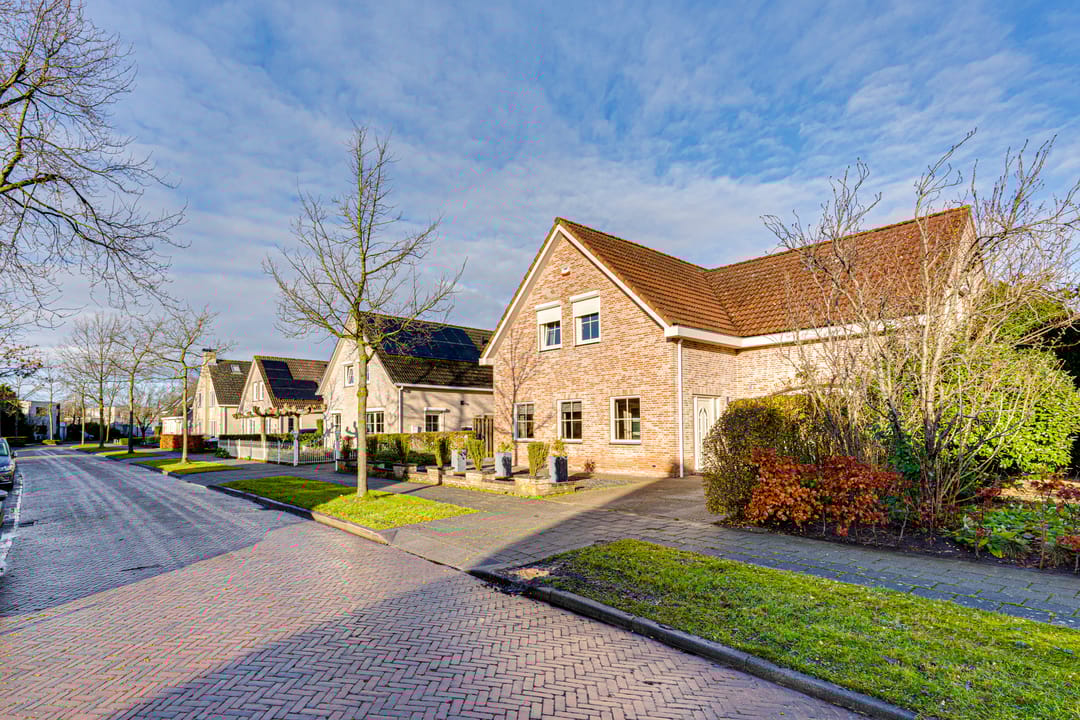 Foto 13 van Duizendblad 21