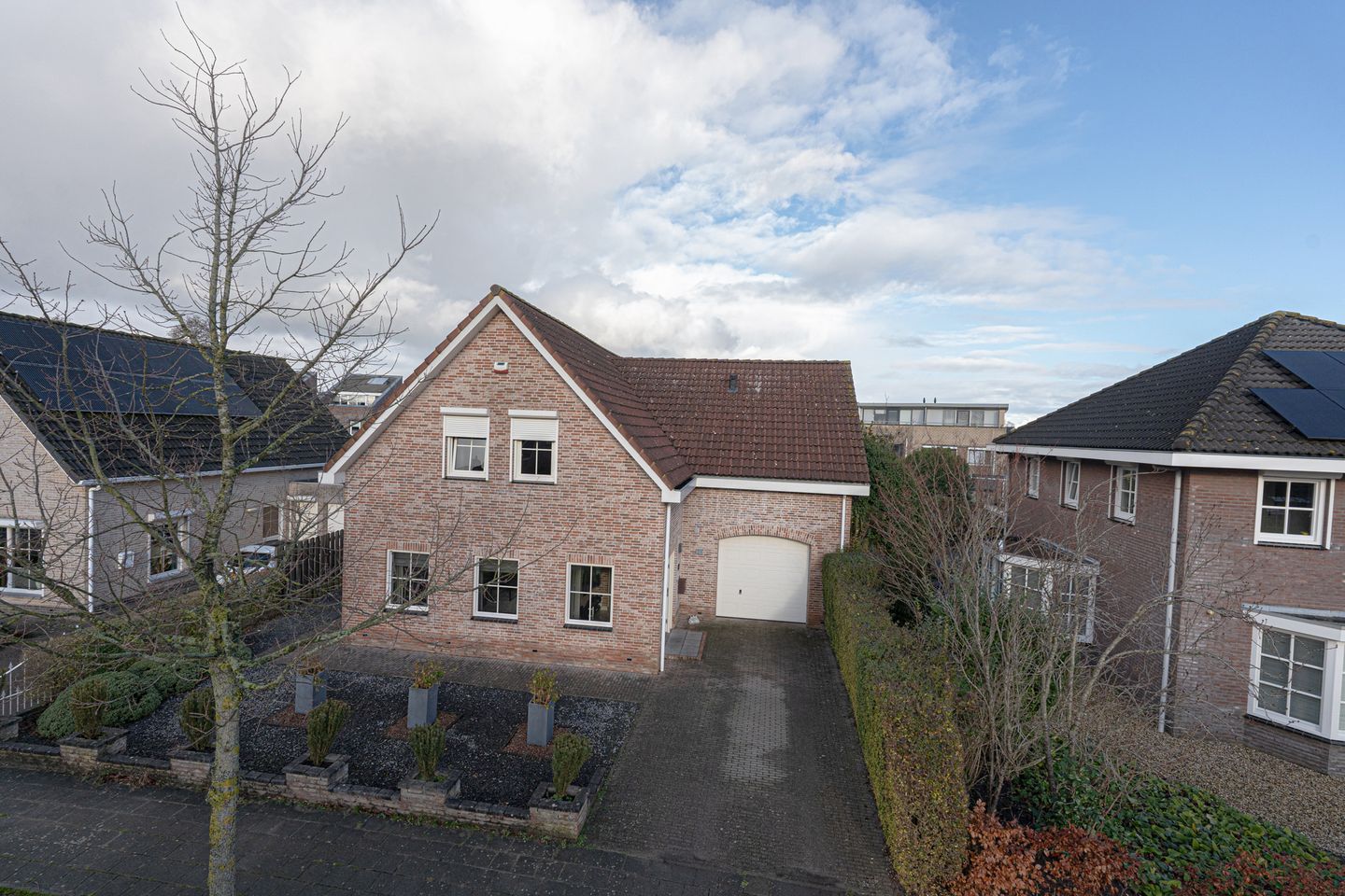 Foto 14 van Duizendblad 21