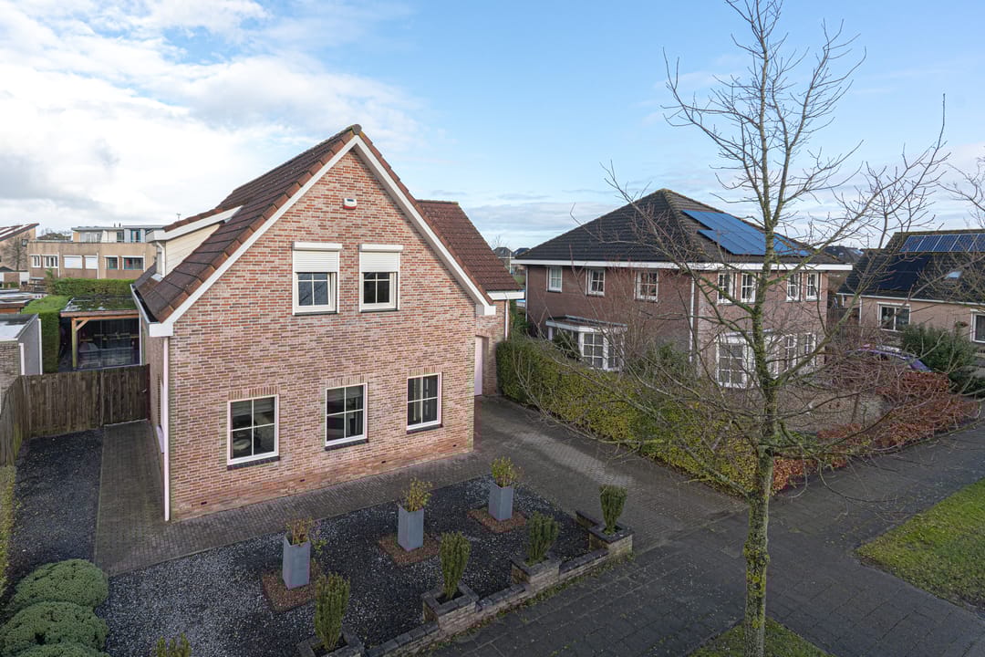 Foto 16 van Duizendblad 21