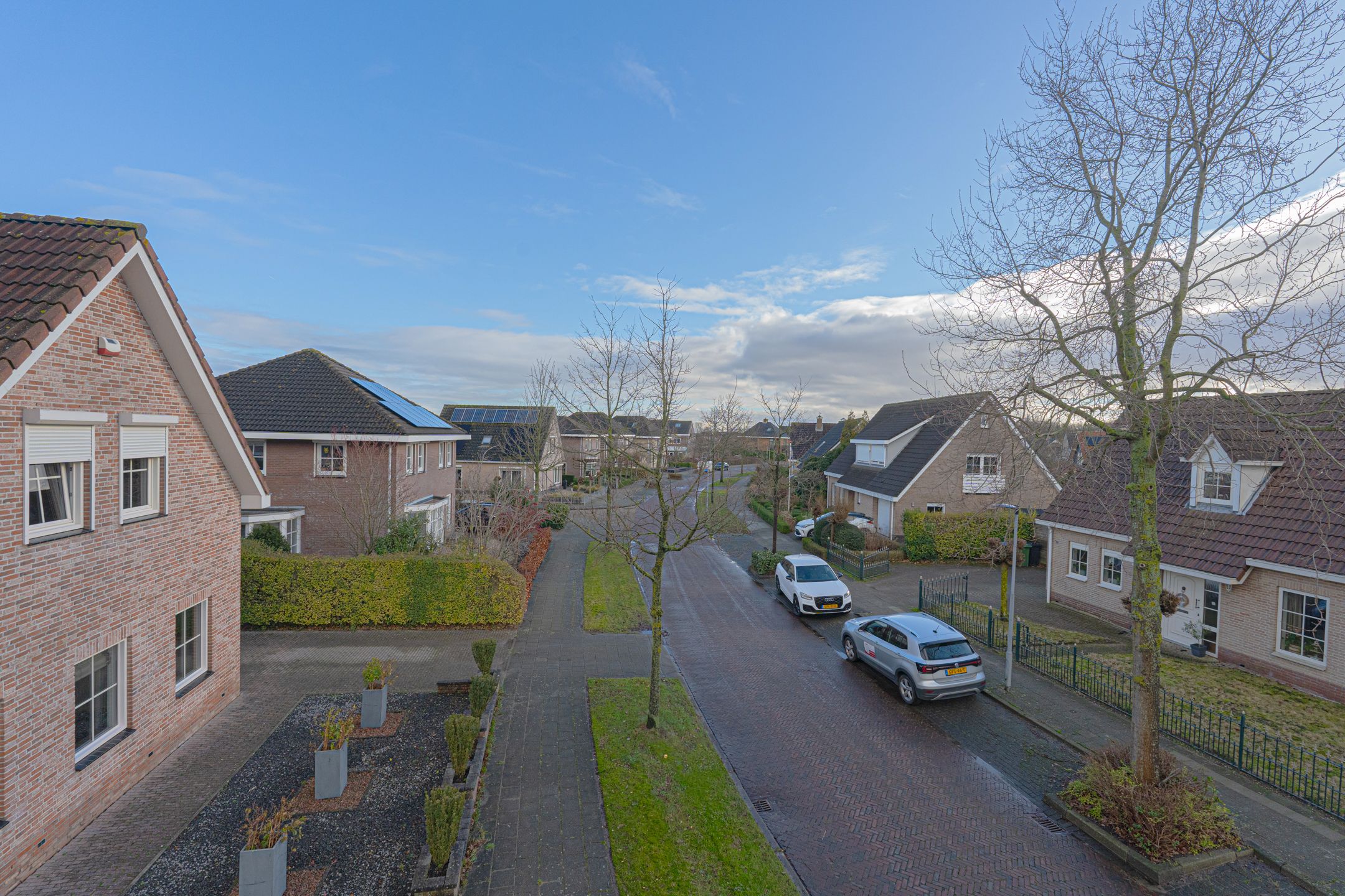 Foto 18 van Duizendblad 21