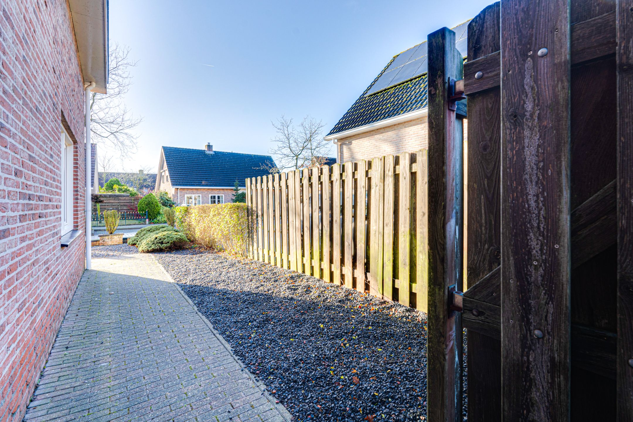 Foto 93 van Duizendblad 21