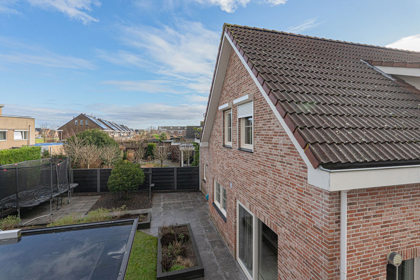 Foto 100 van Duizendblad 21