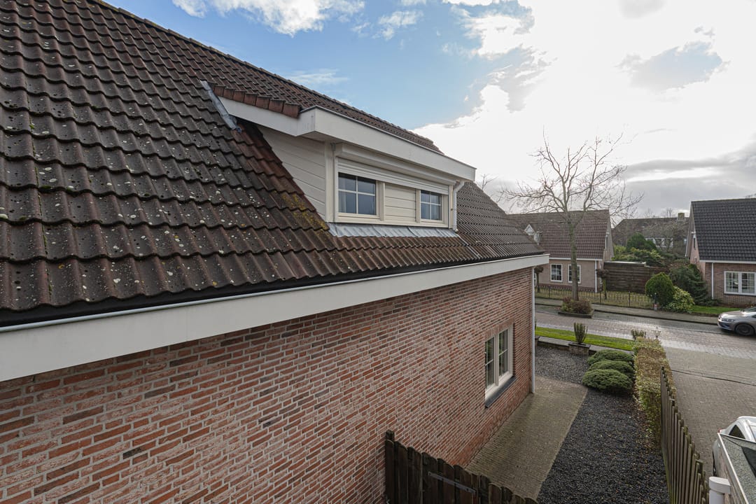 Foto 101 van Duizendblad 21