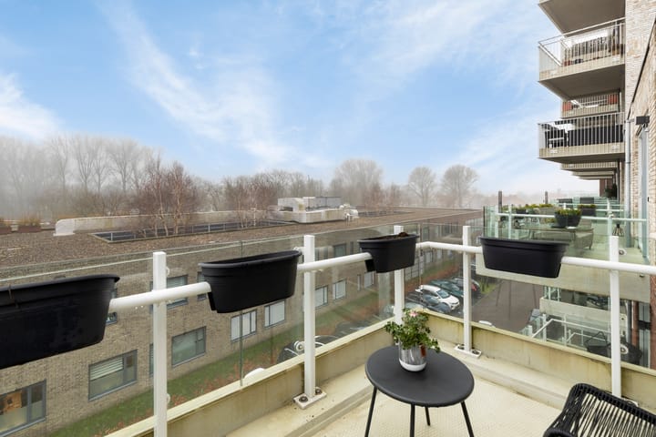 Foto 5 van Josephus Swolfsstraat 49